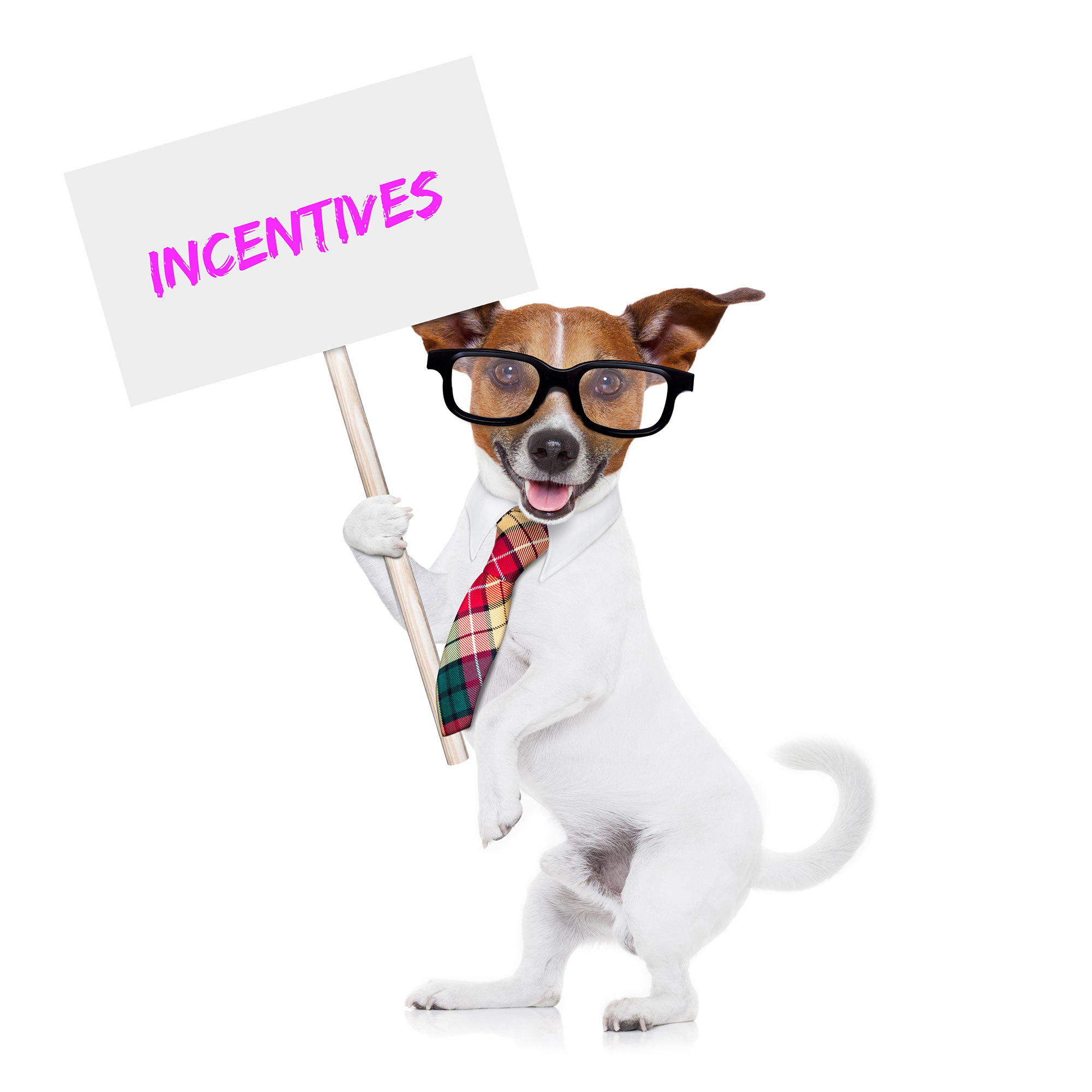 Incentives For Starting A Business